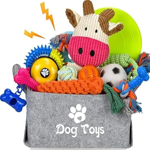 LECHONG Paquete de 21 juguetes de iniciación para cachorros, juguetes masticables enriquecidos con caja de juguetes para perros, juguetes de dentición para cachorros de 8 semanas a 12 semanas para